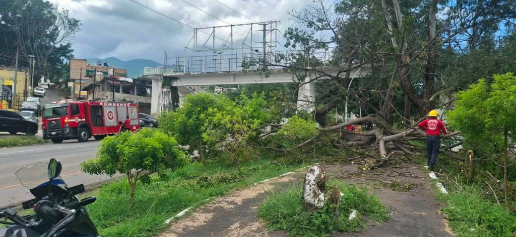 Gobierno de Nayarit fortalece acciones preventivas en el Parque Lineal de Tepic 2 Gobierno de Nayarit fortalece acciones preventivas en el Parque Lineal de Tepic
